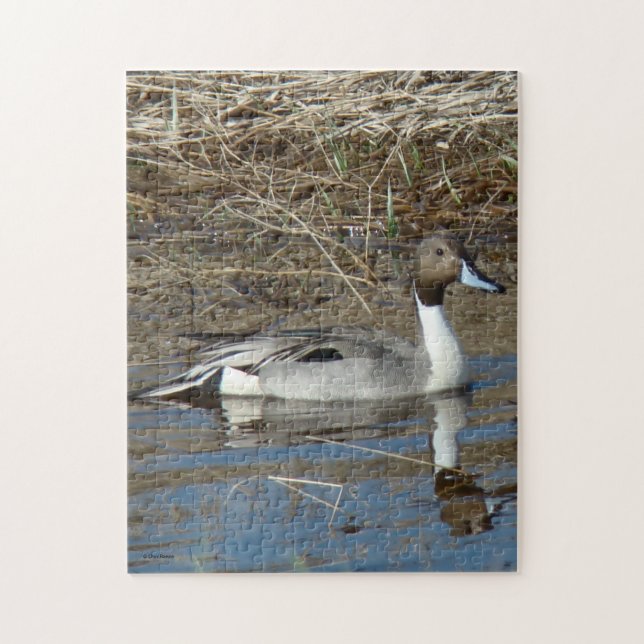 B5 Pintail Duck Drake Puzzle (Vertikal)