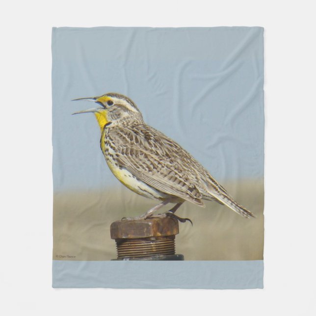 B6 Western Meadowlark Fleecedecke (Vorderseite)