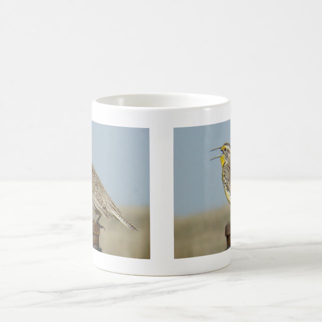 B6 Western Meadowlark Kaffeetasse (Mittel)