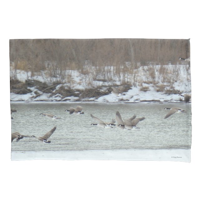 B7 Kanadischer Gänse im Flug Kissenbezug (Vorderseite)