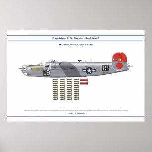 B-24 Last 3 Poster