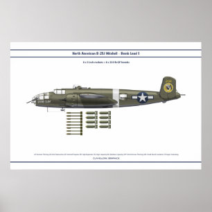 B-25 Last 1 Poster