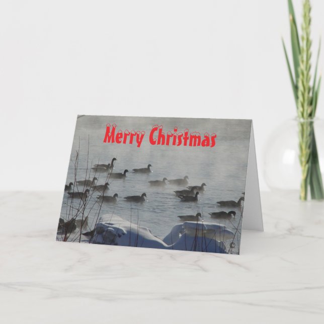 B 49 Kanadagänse auf einer Weihnachtskarte mit neb Dankeskarte (Vorderseite)