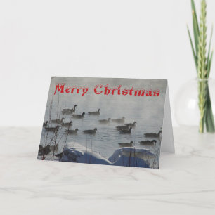 B 49 Kanadagänse auf Weihnachtskarte Nebel Fluss Dankeskarte