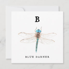 "B" Blue Darner Flachkarte