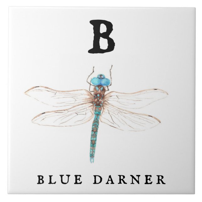 ‚B‘ Blue Darner Fliese (Vorderseite)