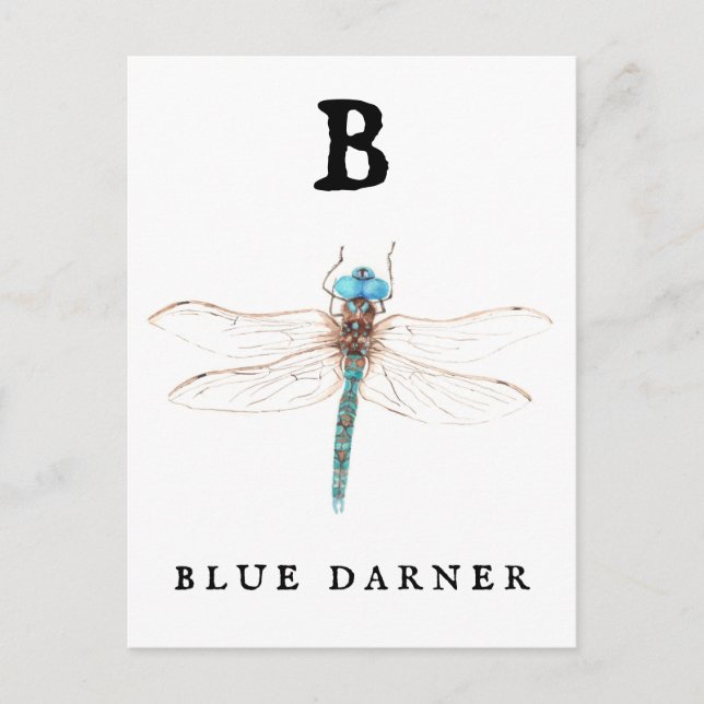 ‚B‘ Blue Darner Postkarte (Vorderseite)