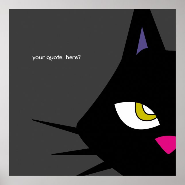 B-CAT POSTER (Vorne)