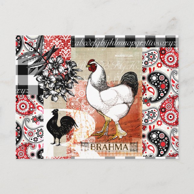 B ist für Brahma Backyard Chicken Postkarte (Vorderseite)
