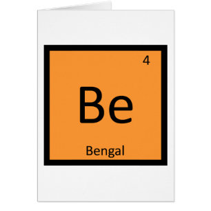 B - Regelmäßige Bengalische Tigerkatze