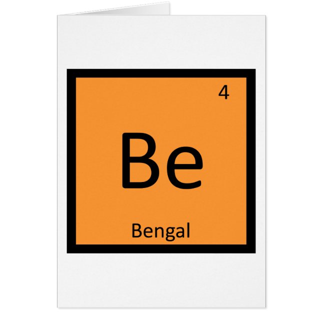 B - Regelmäßige Bengalische Tigerkatze (Vorne)