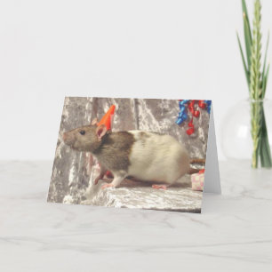 B-tägige Karte der Ratte