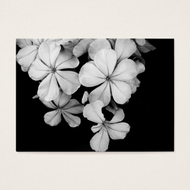 b und w (Vorderseite)