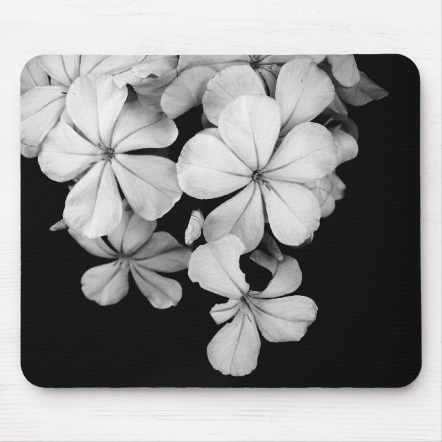 b und w mousepad (Vorne)