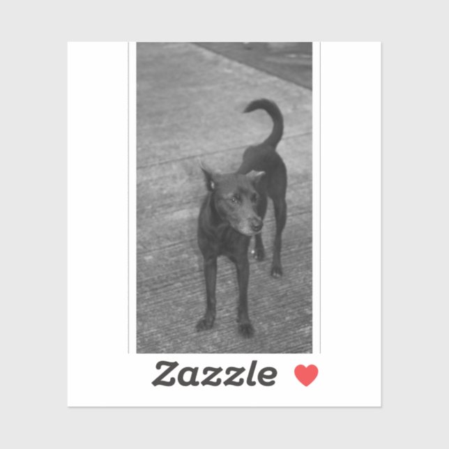 B&W - Aspin Aufkleber (Blatt)