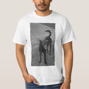 B&W - Aspin T-Shirt