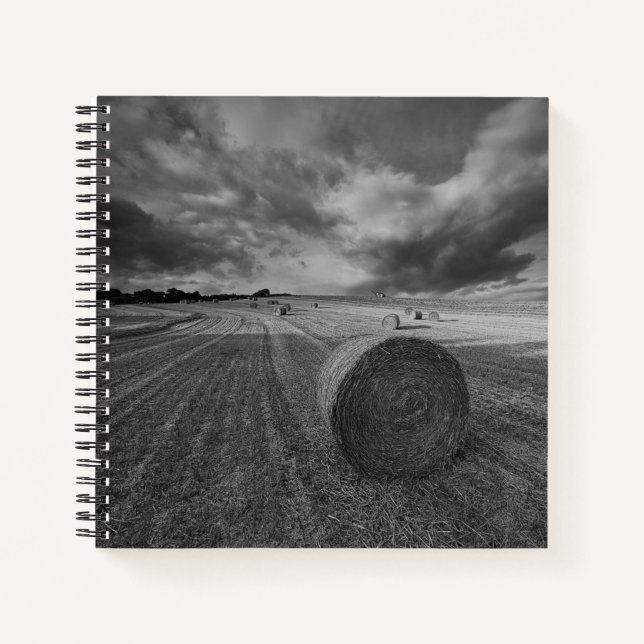 B&W Barley Field Notizbuch (Vorderseite)