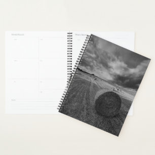 B&W Barley Field Planer