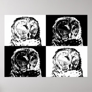 B/W Barred Owl Pop Art Poster