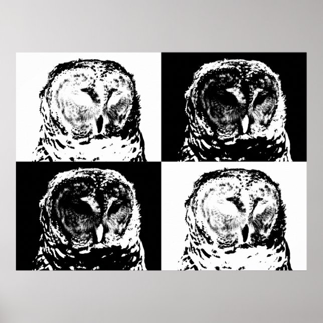 B/W Barred Owl Pop Art Poster (Vorne)
