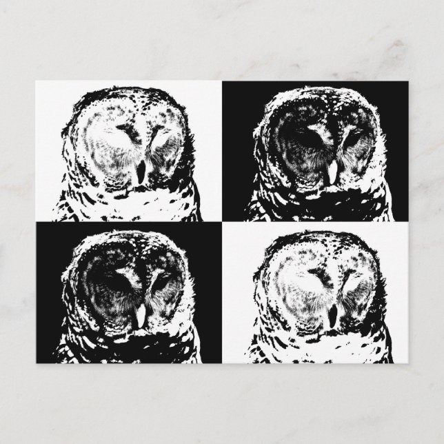 B/W Barred Owl Pop Art Postkarte (Vorderseite)
