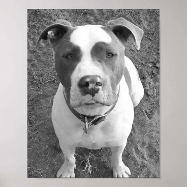 B/W Chevy Poster (Vorne)