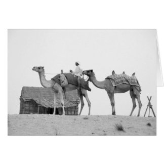 B&W Dubai Wüste