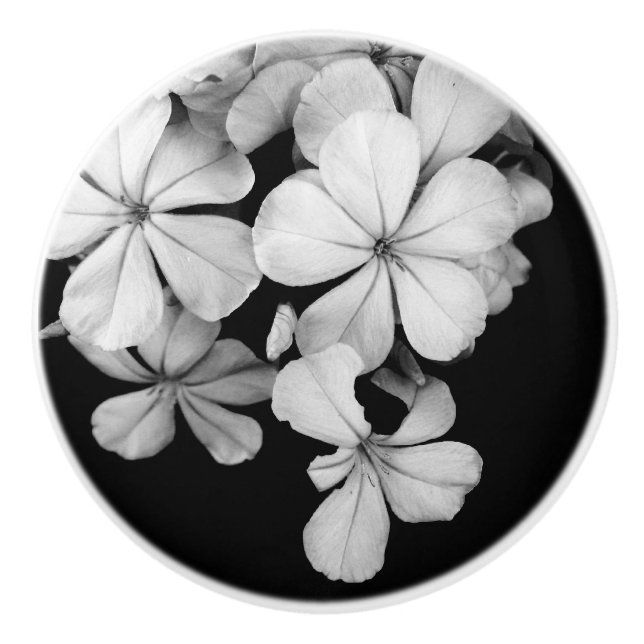B&W Elegante Blume Keramikknauf (Vorderseite)