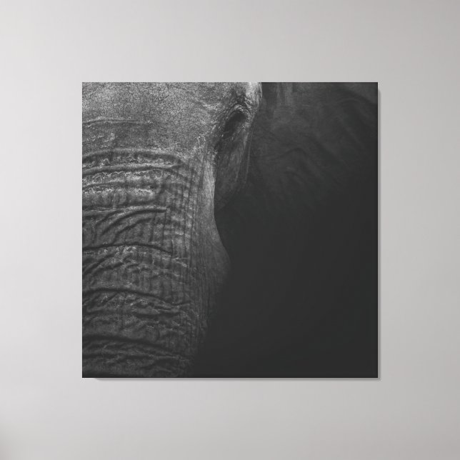 B&W Elephant Leinwanddruck (Vorderseite)