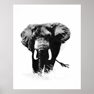 B&W Elephant Posters Prints Poster
