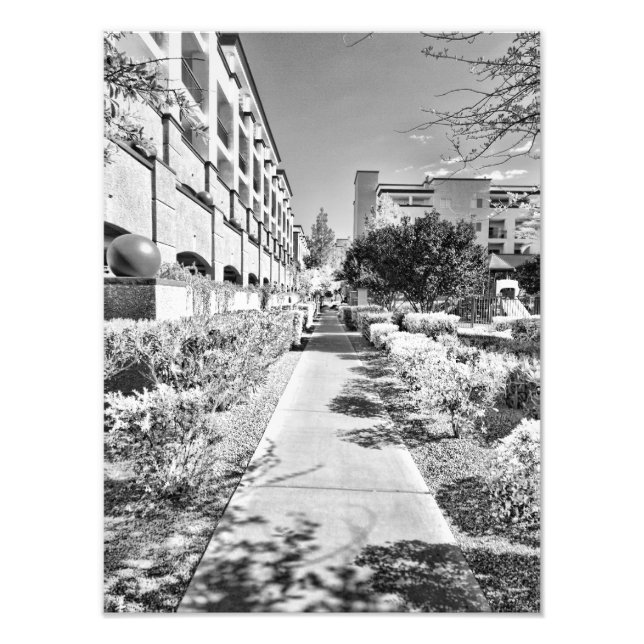 B&W FOTODRUCK (Vorne)