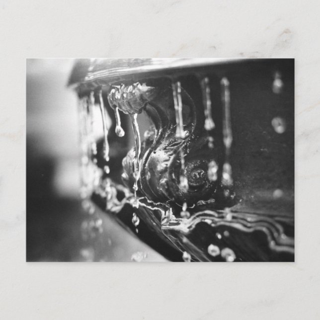 B&W Fountain Postkarte (Vorderseite)