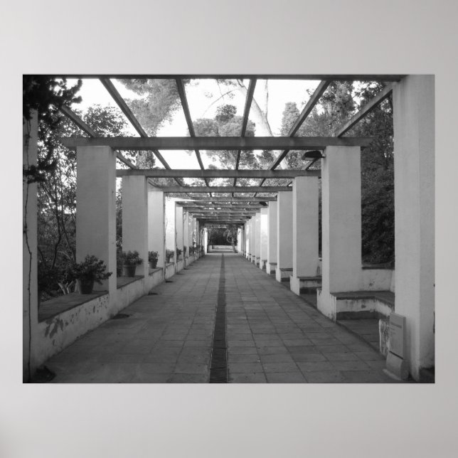 B&W Garden Poster (Vorne)