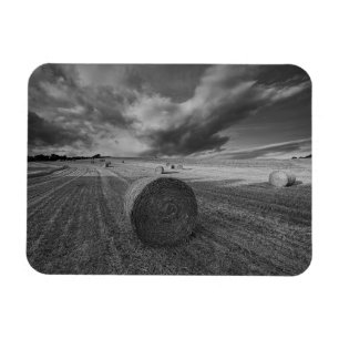 B&W Gersten-Feld Magnet