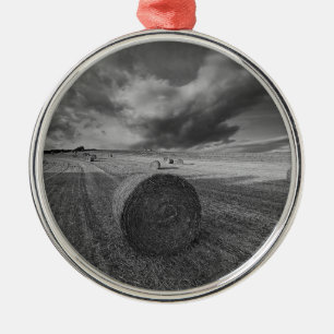 B&W Gersten-Feld Ornament Aus Metall