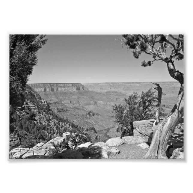 B&W Grand Canyon Nationalpark 3 Fotodruck (Vorne)