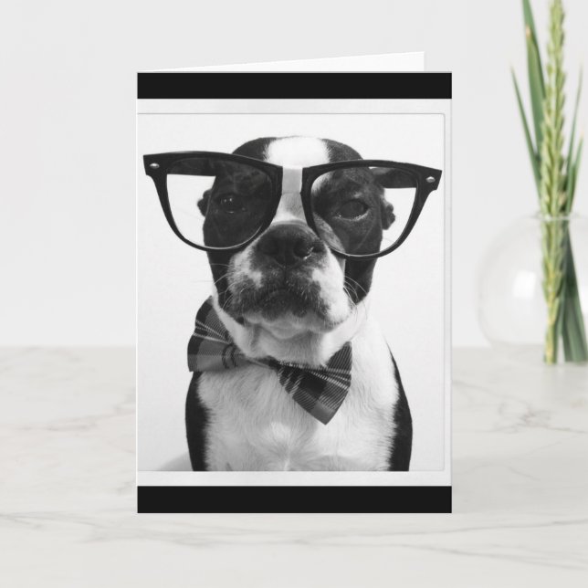 B&W Hipster-Nerd-Boston-Terrier Karte (Vorderseite)