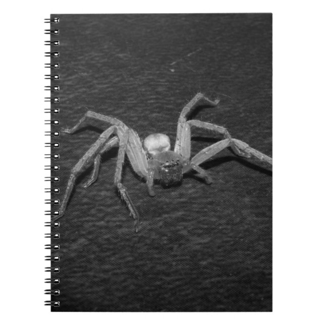 B&W_Huntsman Spider Notizblock (Vorderseite)