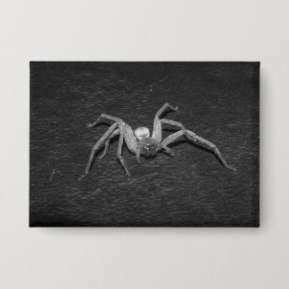 B&W_Huntsman-Spinne Button