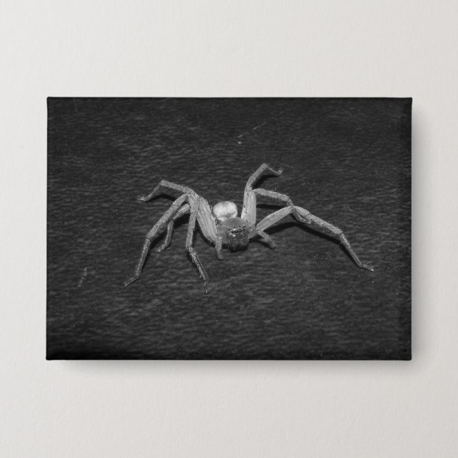 B&W_Huntsman-Spinne Button (Vorderseite)