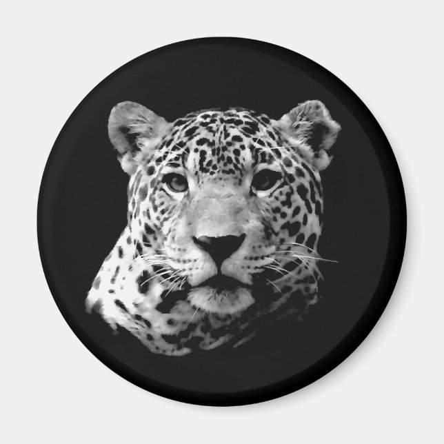 B&W Jaguar Magnet (Vorne)