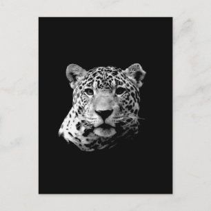 B&W Jaguar Postkarte