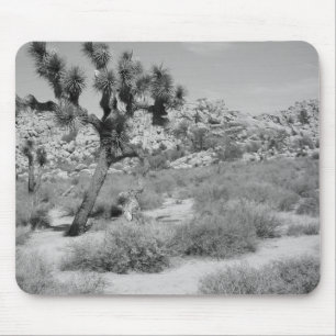B&W Joshua Baum-Nationalpark 3 Mousepad