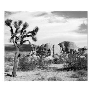 B&W Joshua Tree Nationalpark Fotodruck