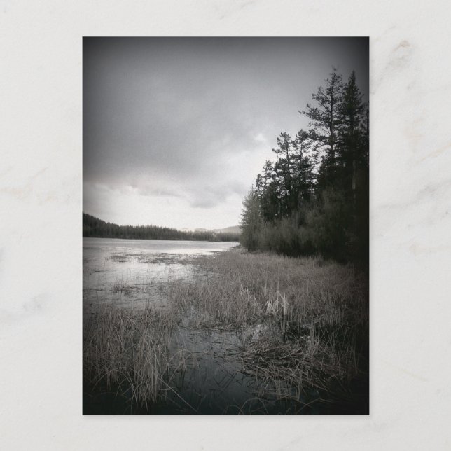 B&W Lake Marsh Landschaft Postkarte (Vorderseite)