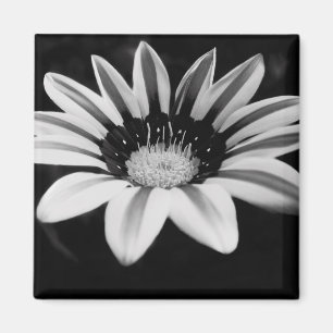 B&W MAGNET