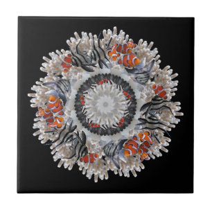 B&W mit Clown 30 x 30 Fliese