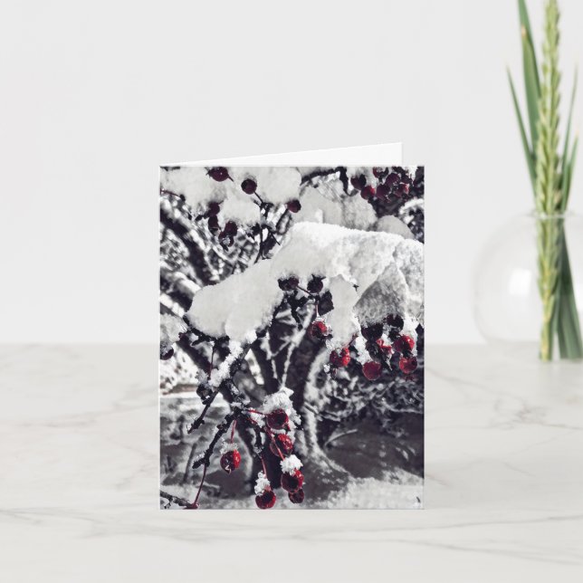 B&W mit Red Crab Apple Berries in Snow Xmas Card Dankeskarte (Vorderseite)