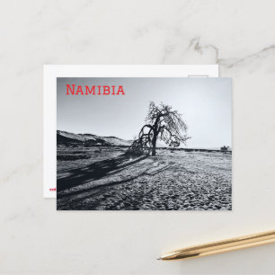 B+W Namib Wüstenbaum Postkarte
