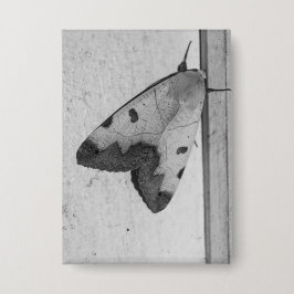 B&W - Ophiusa tirhaca, der grüne Drache Button